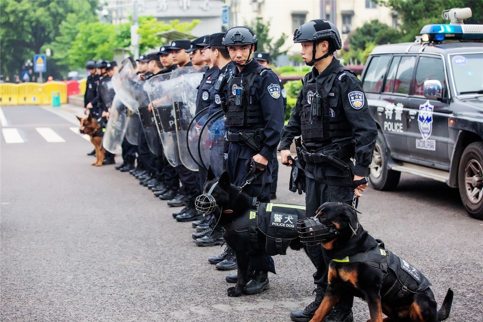 湖南熊猫体育管理有限公司
