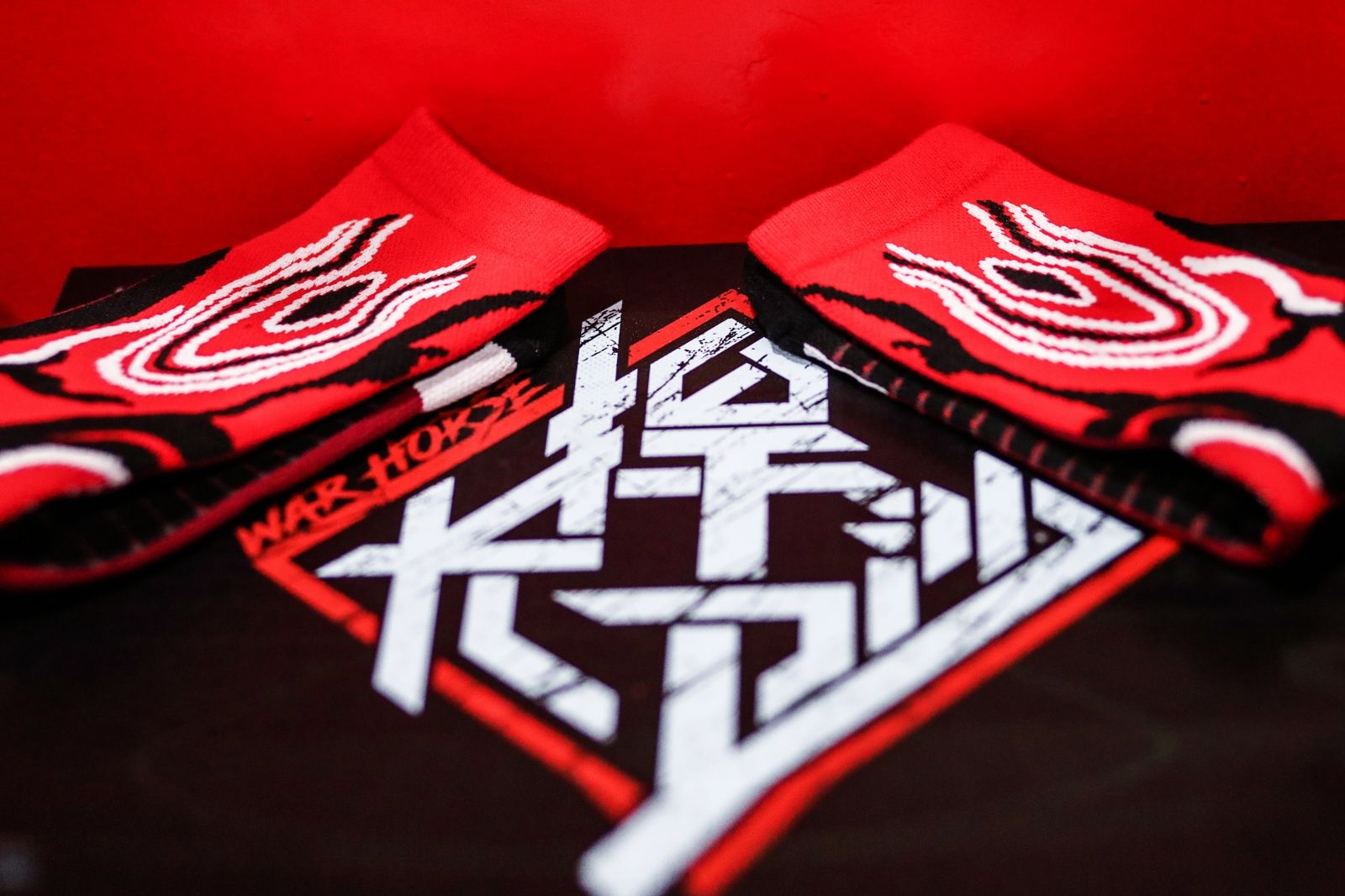 湖南熊猫体育管理有限公司